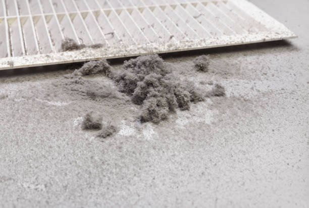 Best Air Vent Cleaning Services  in Wakefield, KS